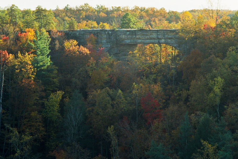 Red River Gorge in Fall